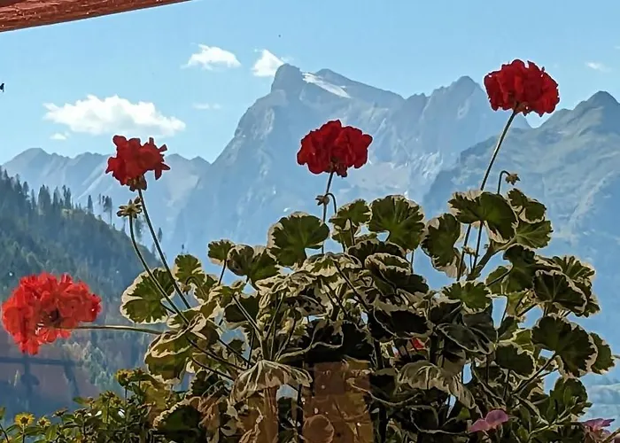 Ca' Del Bosco 3* سيلفا دي كادوري