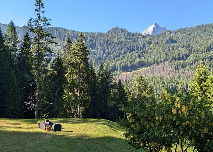 فندق Ca' Del Bosco 3*