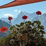 Ca' Del Bosco 3* Selva di Cadore