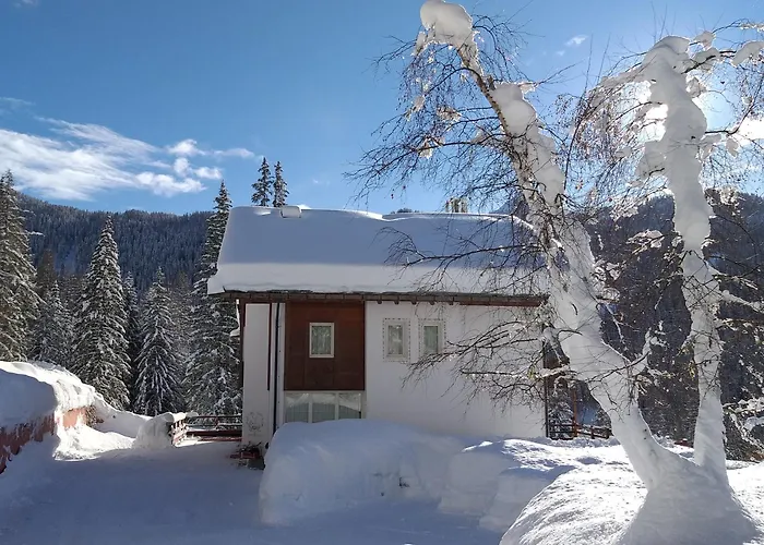 Ca' Del Bosco 3* Selva di Cadore