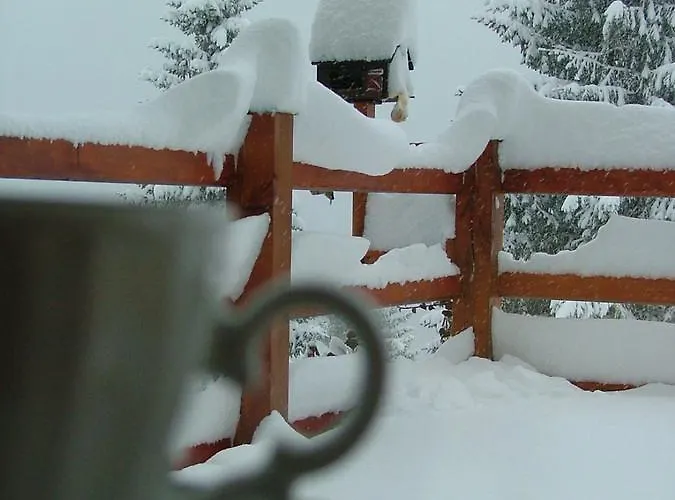 Ca' Del Bosco Hotel 3*