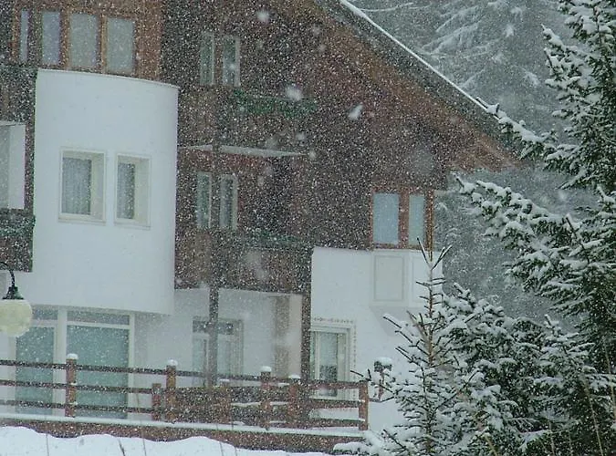 Hotel Ca' Del Bosco Selva di Cadore